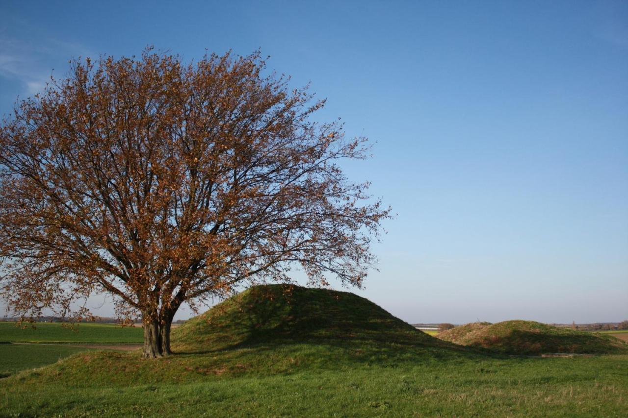 Hoeve Jadoul Gingelom المظهر الخارجي الصورة